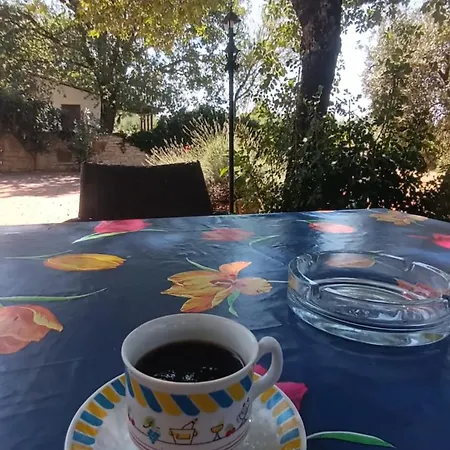 Sunny